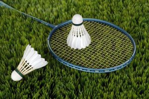 Badminton Netz